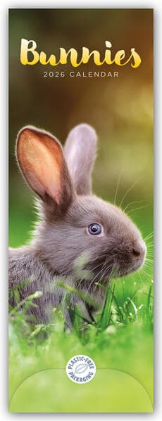 Bunnies - Hasen - Kaninchen 2026 - Slimline-Kalender