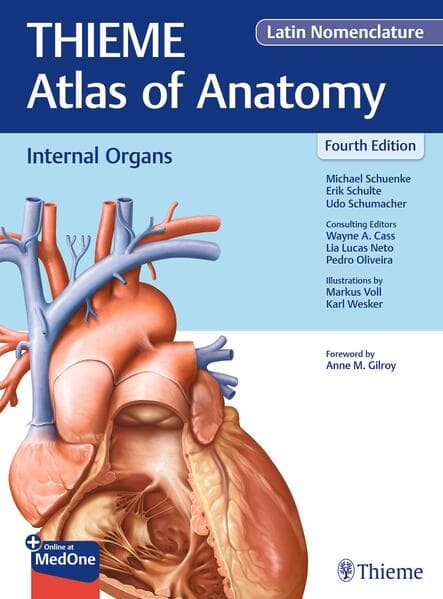 Internal Organs (THIEME Atlas of Anatomy), Latin Nomenclature