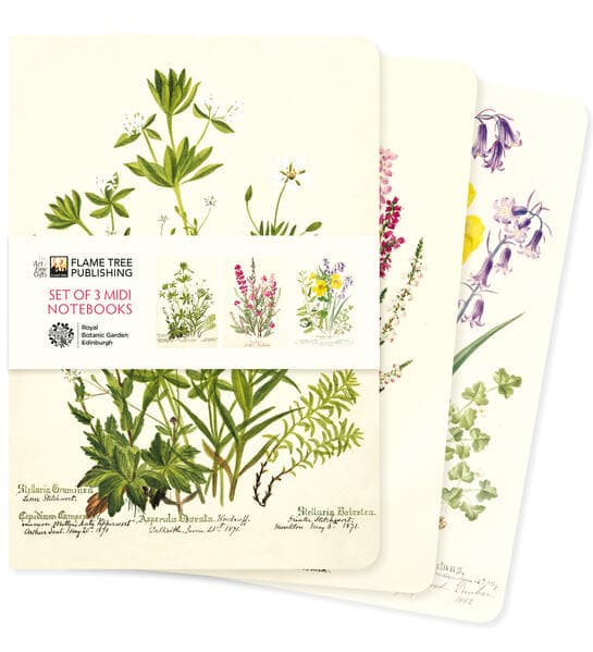 Royal Botanic Garden Edinburgh Set of 3 MIDI Notebooks