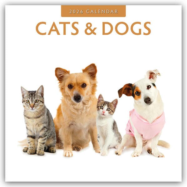 Cats & Dogs - Katzen & Hunde 2026 - 16-Monatskalender