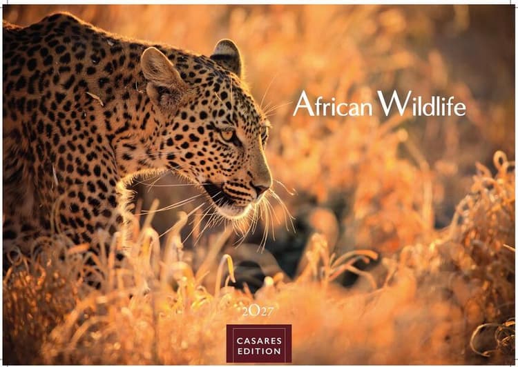 Wilde Tiere Afrikas Kalender 2027 - Wandkalender | Fotokalender Afrika 35x50cm | Naturfotografie | Tierkalender Afrika | Geschenk für Naturliebhaber