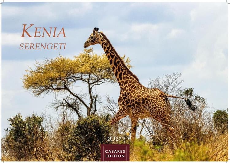 Kenia & Serengheti Kalender 2027 - Wandkalender | Fotokalender Afrika 35x50cm - Wunderschöne Tierkalender- und Naturschutzfotos