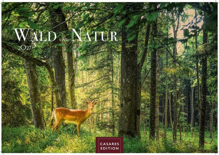 Wald & Natur Kalender 2027 - Wandkalender | Fotokalender Naturkalender 24x 35cm - Natürliche Schönheit & Ruhe für jeden Monat