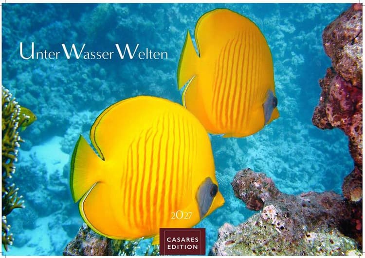 Unterwasserwelten Kalender 2027 - Wandkalender | Fotokalender Naturkalender 35x50cm Großformat - Atemberaubende Meereslandschaften & Korallenriffe
