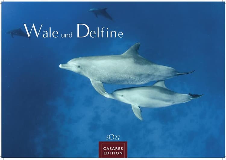 Wale und Delfine Kalender 2027 - Wandkalender | Fotokalender Tierkalender 35x50cm Grosses Format - Hochwertige Fotografien von Walen und Delfinen, die jeden Monat begeistern