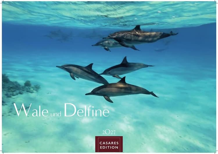 Wale und Delfine Kalender 2027 - Wandkalender | Fotokalender Tierkalender 24x35cm - Hochwertige Fotografien von Walen und Delfinen, die jeden Monat begeistern