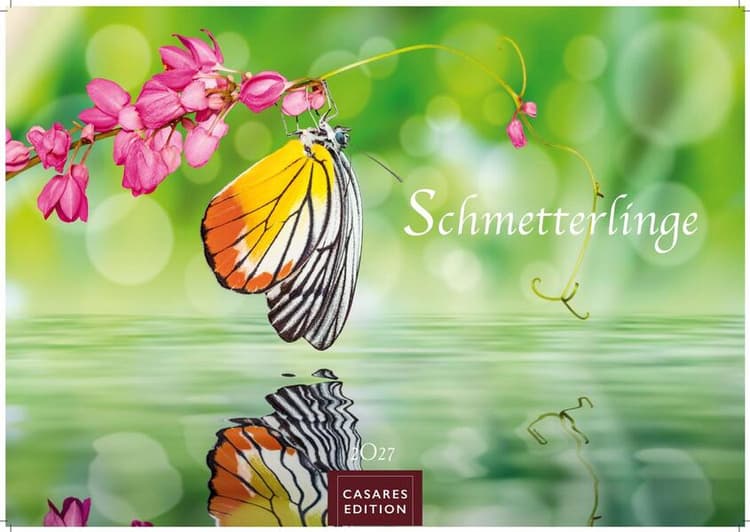 Schmetterlinge Kalender 2027 - Wandkalender | Fotokalender Tierkalender 35x50cm Grosses Format - Mit wunderschönen, detailreichen Bildern von Schmetterlingen