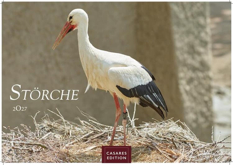 Störche Kalender 2027 - Wandkalender | Fotokalender Tierkalender 35x50cm Grosses Format - Inspirierende Storch-Motive für Natur- und Tierkalenderliebhaber