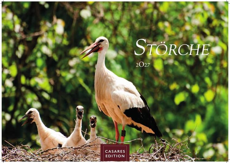 Störche Kalender 2027 - Wandkalender | Fotokalender Tierkalender 24x35cm - Inspirierende Storch-Motive für Natur- und Tierkalenderliebhaber