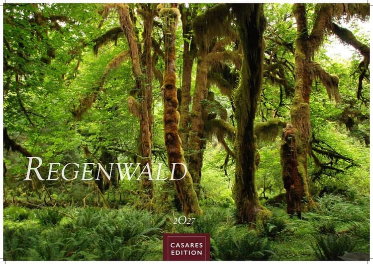 Regenwald Kalender 2027 - Wandkalender | Fotokalender Naturkalender 35x50cm | Wunderschöne Fotos tropischer Wälder und Landschaften