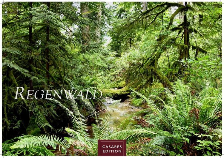 Regenwald Kalender 2027 - Wandkalender | Fotokalender Naturkalender 24x35cm | Wunderschöne Fotos tropischer Wälder und Landschaften