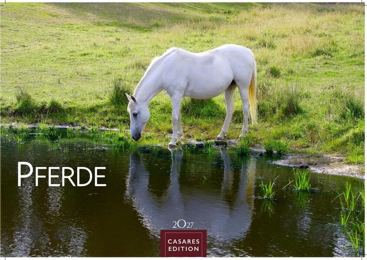 Pferde Kalender 2027 - Wandkalender | Fotokalender Tierkalender 24x35cm mit 12 wunderschönen Fotos dieser edlen Tiere