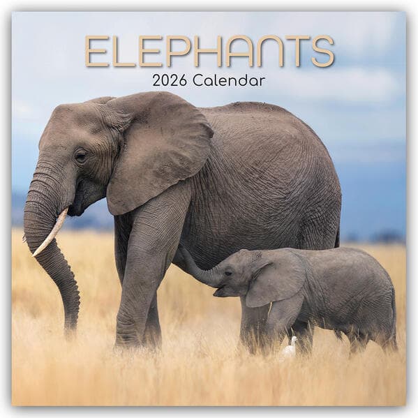 Elephants - Elefanten 2026 - 16-Monatskalender