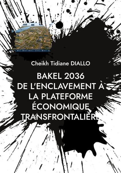 De l'enclavement à la plateforme économique transfrontalière