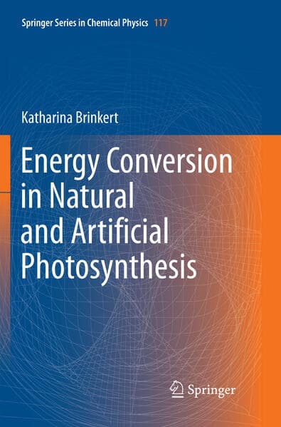 Energy Conversion in Natural and Artificial Photosynthesis