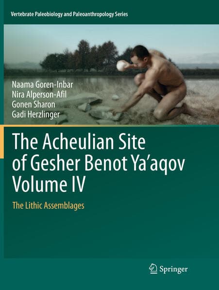 The Acheulian Site of Gesher Benot Ya‘aqov Volume IV