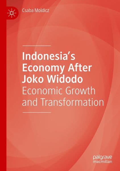 Indonesia's Economy After Joko Widodo