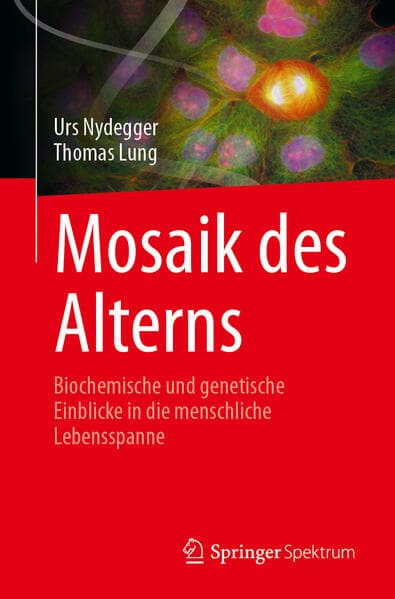 Mosaik des Alterns