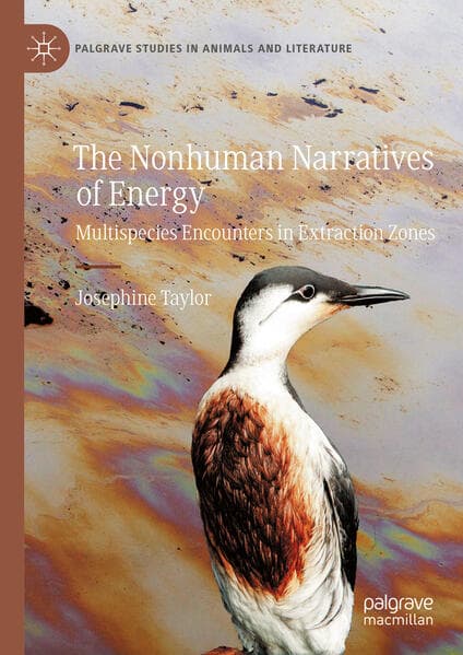 The Nonhuman Narratives of Energy