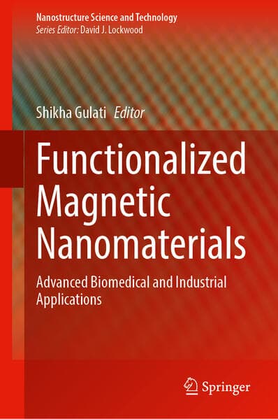 Functionalized Magnetic Nanomaterials