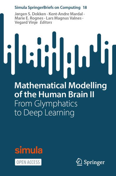 Mathematical Modelling of the Human Brain II