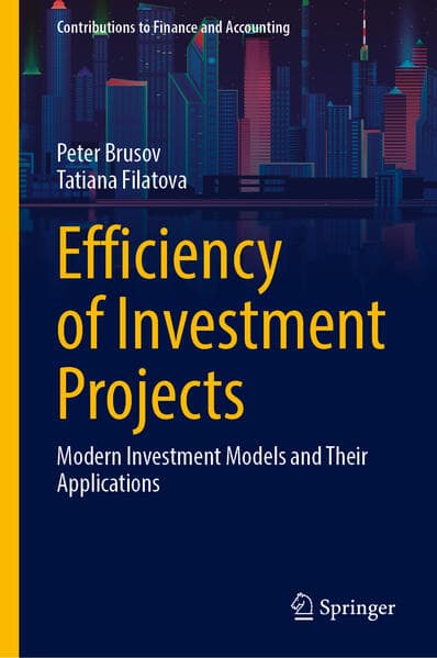 Efficiency of Investment Projects