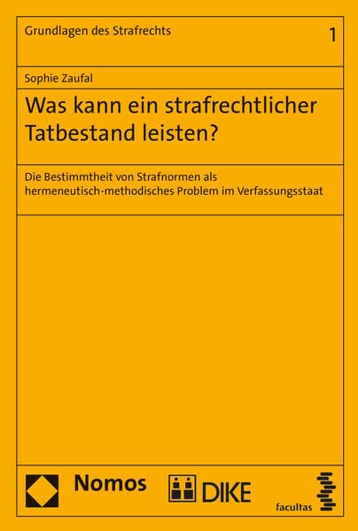 Was kann ein strafrechtlicher Tatbestand leisten?