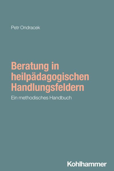 Beratung in heilpädagogischen Handlungsfeldern