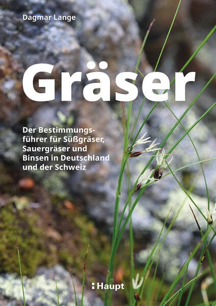 Gräser