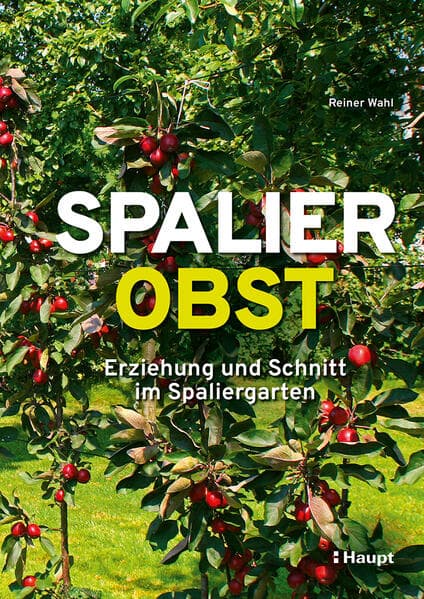Spalierobst