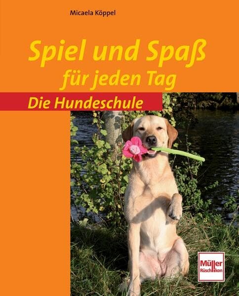 Spiel und Spass für jeden Tag