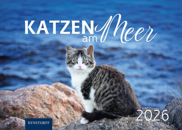 Katzen am Meer 2026