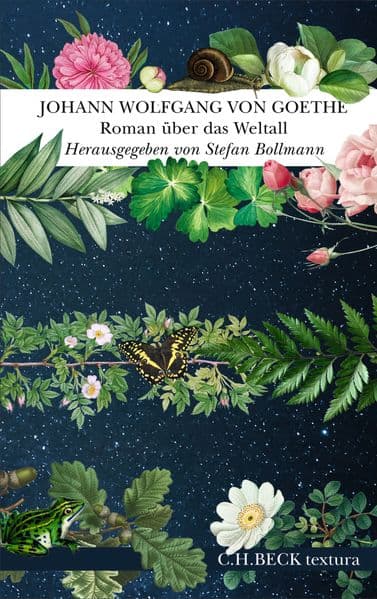 Roman über das Weltall