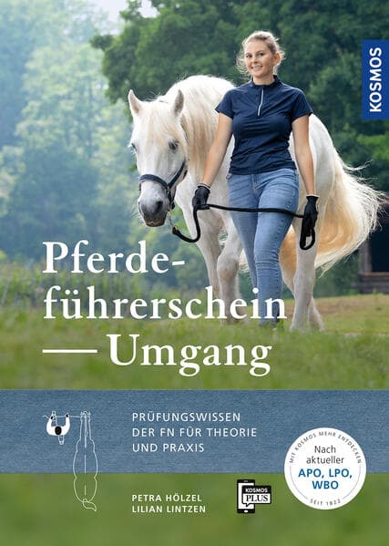 Pferdeführerschein Umgang
