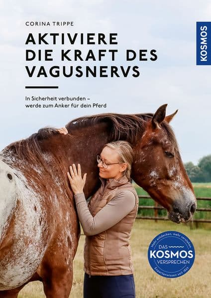 Aktiviere die Kraft des Vagusnervs