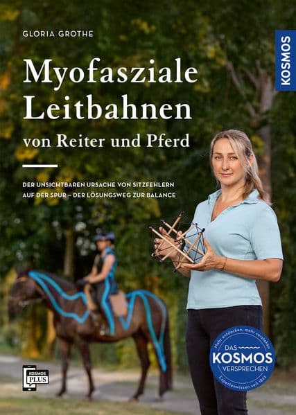 Myofasziale Leitbahnen von Reiter und Pferd