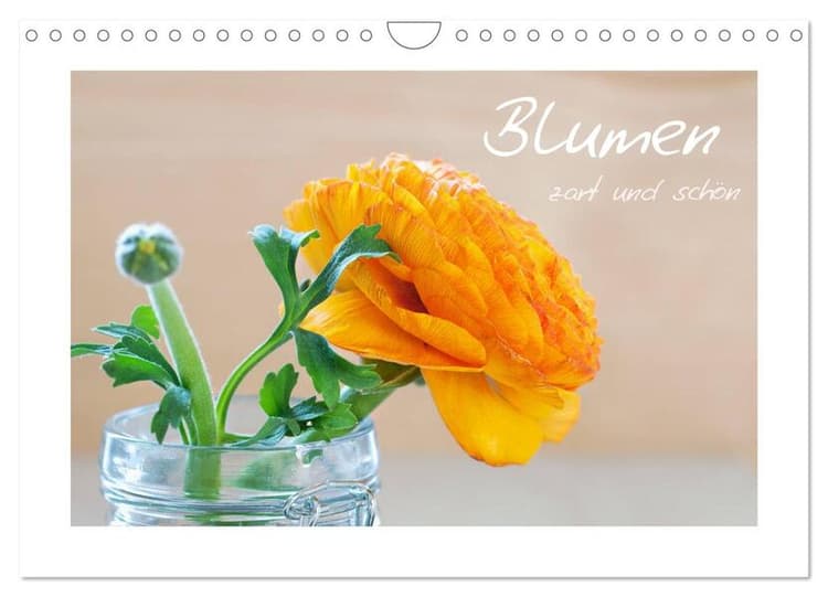 Blumen zart und schön (Wandkalender 2026 DIN A4 quer), CALVENDO Monatskalender