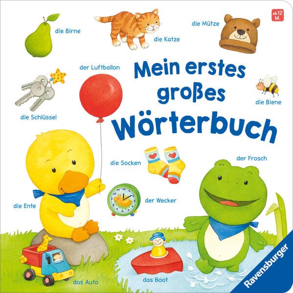 Mein erstes großes Wörterbuch