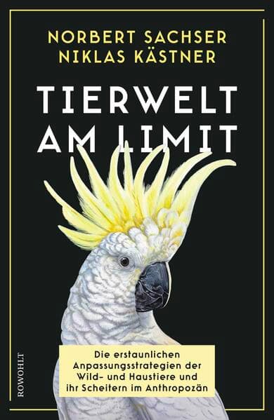Tierwelt am Limit