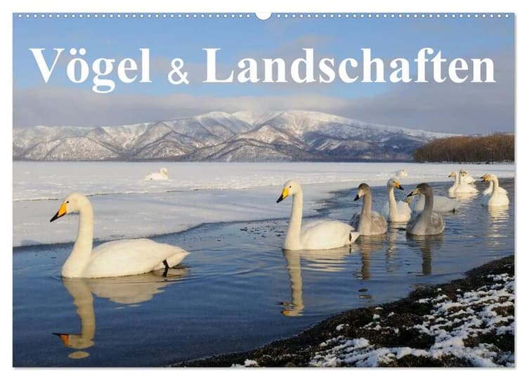 Vögel & Landschaften (Wandkalender 2026 DIN A2 quer), CALVENDO Monatskalender