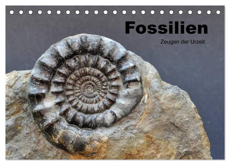 Fossilien - Zeugen der Urzeit (Tischkalender 2026 DIN A5 quer), CALVENDO Monatskalender