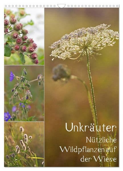 Unkräuter - Nützliche Wildpflanzen auf der Wiese (Wandkalender 2026 DIN A3 hoch), CALVENDO Monatskalender