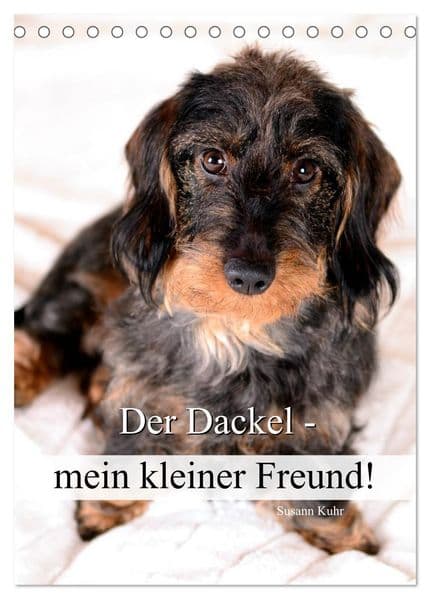 Der Dackel - mein kleiner Freund (Tischkalender 2026 DIN A5 hoch), CALVENDO Monatskalender