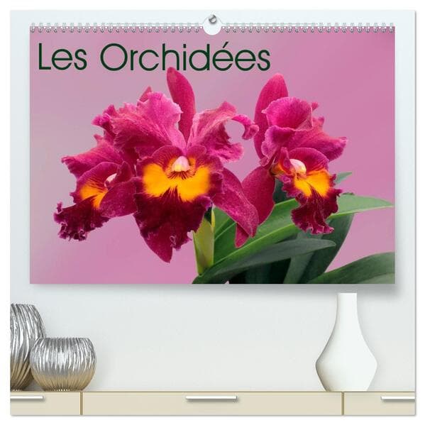 Les Orchidées (Calendrier mural 2026 DIN A2 vertical) calendrier de bureau