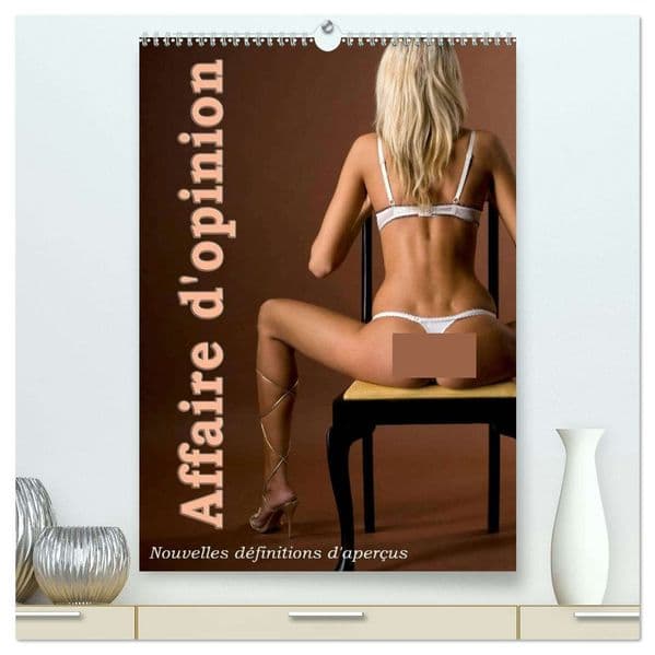 Affaire d'opinion - Nouvelles définitions d'aperçus (Calendrier mural 2026 DIN A2 horizontal) calendrier de bureau