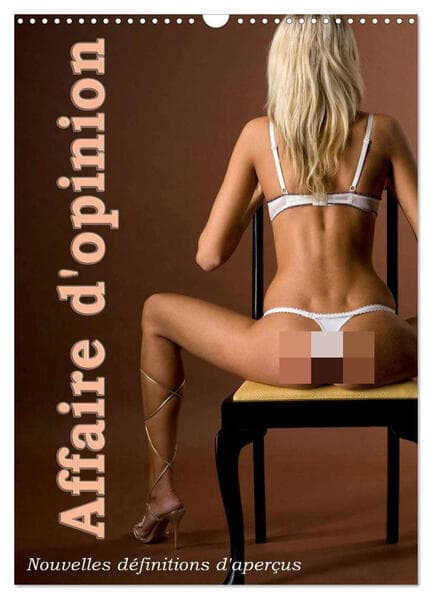 Affaire d'opinion - Nouvelles définitions d'aperçus (Calendrier mural 2026 DIN A3 horizontal), CALVENDO calendrier mensuel