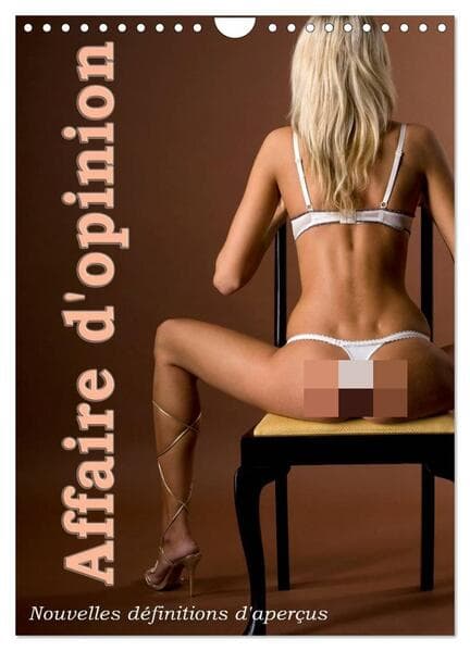 Affaire d'opinion - Nouvelles définitions d'aperçus (Calendrier mural 2026 DIN A4 horizontal), CALVENDO calendrier mensuel