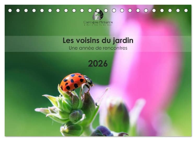 Les voisins du jardin - Une année de rencontres (Calendrier de bureau 2026 DIN A5 vertical), CALVENDO calendrier mensuel