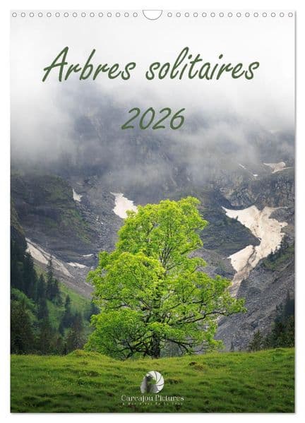 Arbres solitaires (Calendrier mural 2027 DIN A3 horizontal), CALVENDO calendrier mensuel
