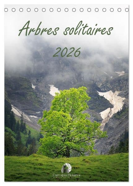 Arbres solitaires (Calendrier de bureau 2027 DIN A5 horizontal), CALVENDO calendrier mensuel